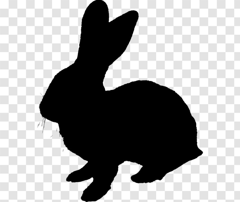 Domestic Rabbit Hare Dog Whiskers Black & White - Blackandwhite - M Transparent PNG