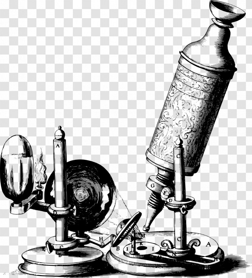 Micrographia 17th Century Optical Microscope Microscopy - Monochrome Photography Transparent PNG