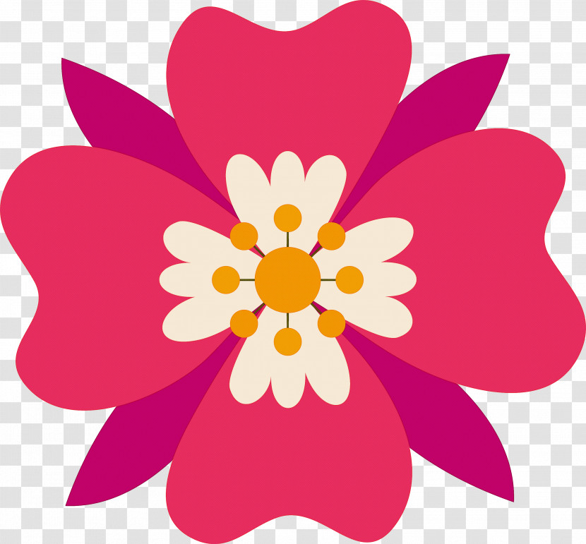 Floral Design Transparent PNG