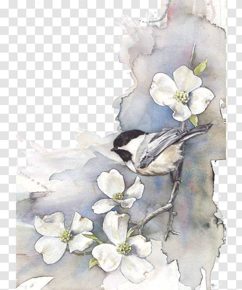 Bird Watercolor Painting Drawing Art - Artist - Creative Arts Transparent PNG