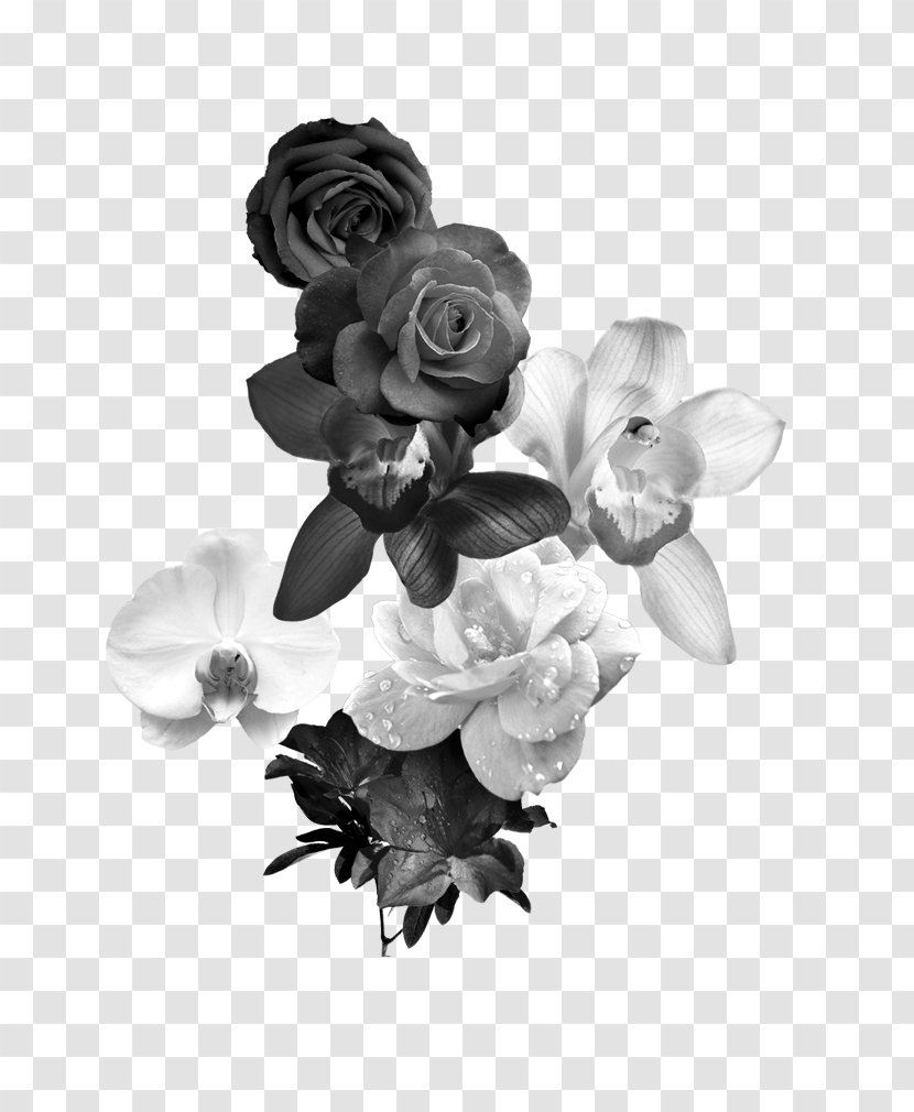 Black And White Flower Monochrome Photography - Roses Transparent PNG