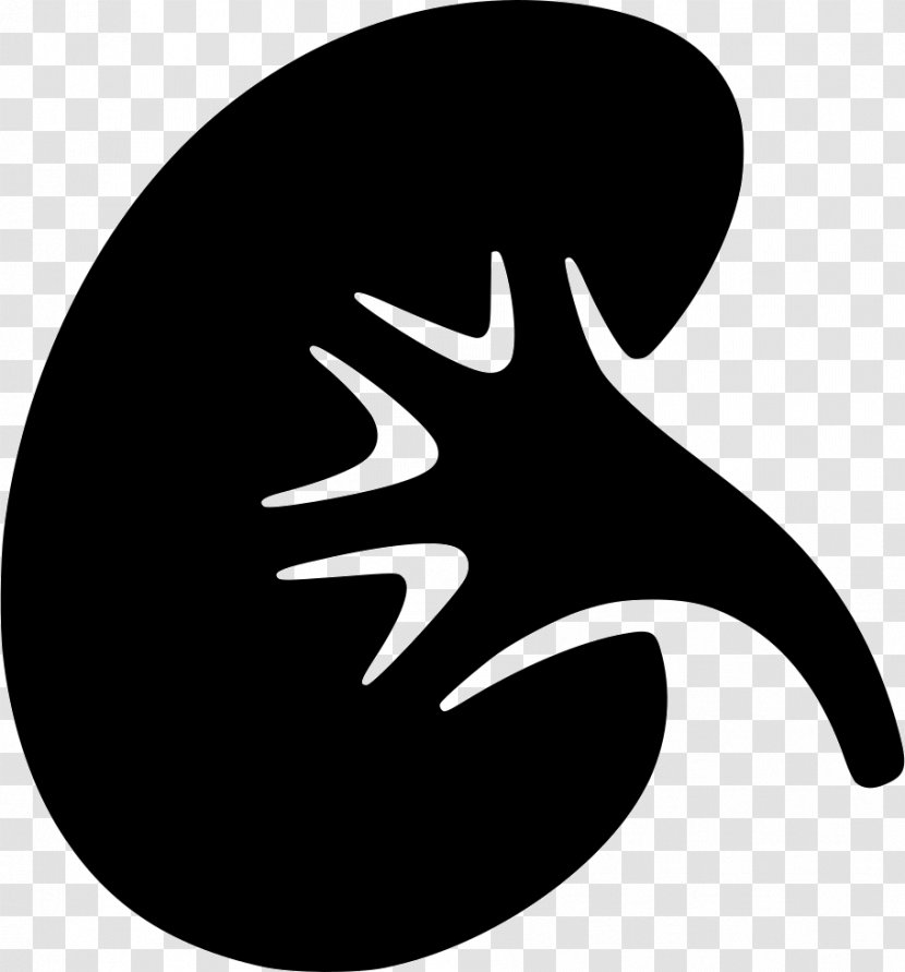 Chronic Kidney Disease Cancer And The Failure - Silhouette - Tree Transparent PNG