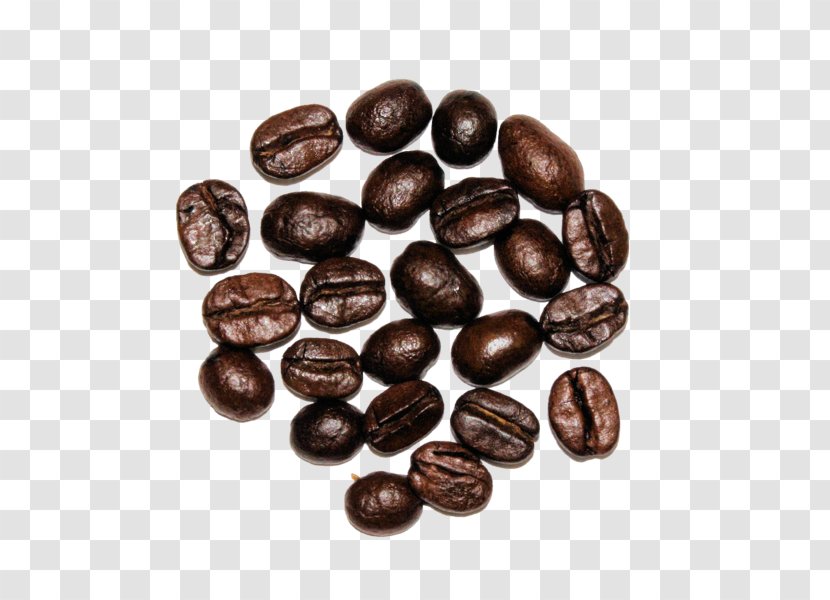 Jamaican Blue Mountain Coffee Cocoa Bean Bead Brown Nut - Dutch Transparent PNG