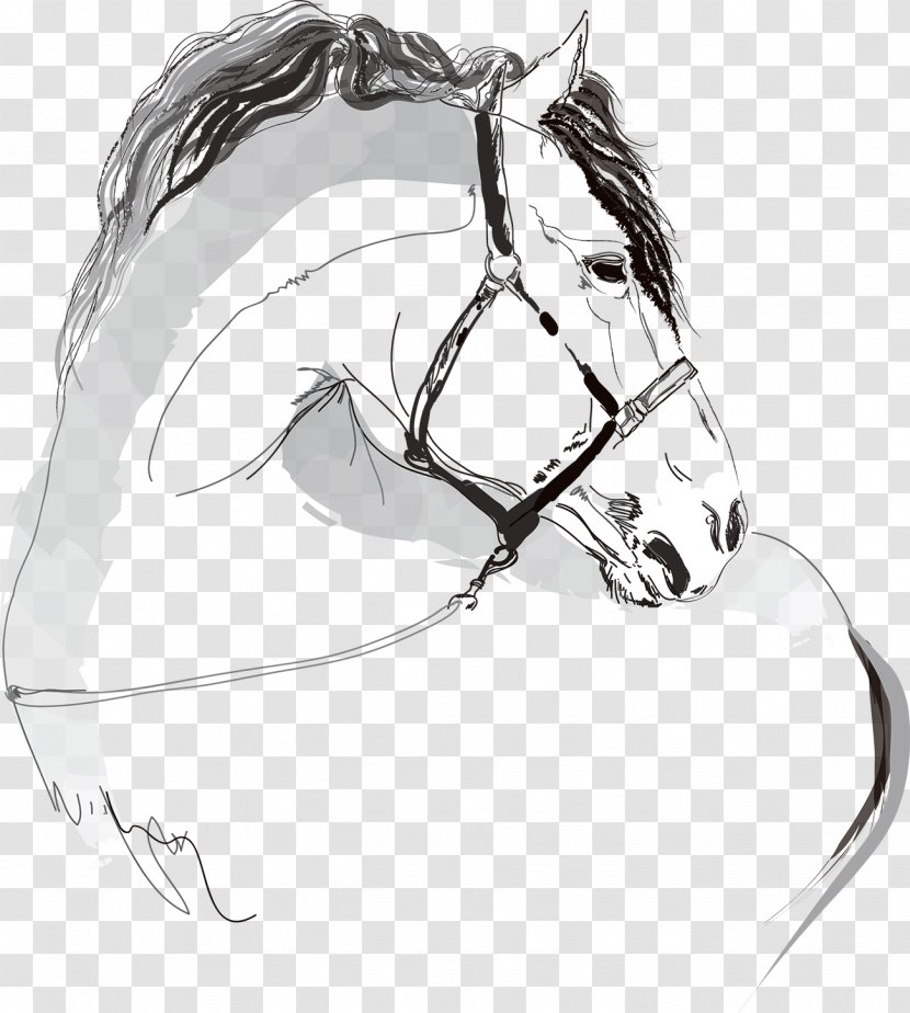 Horse Illustration - Sports Equipment - Galloping Transparent PNG