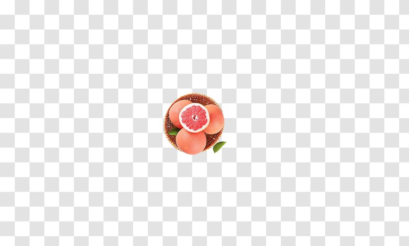 Circle Fruit Pattern - Peach - Grapefruit Transparent PNG
