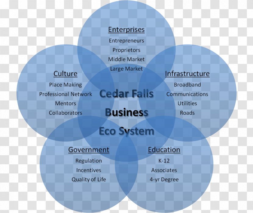 Product Organization Diagram - Text - Eco Cultural Developments Transparent PNG