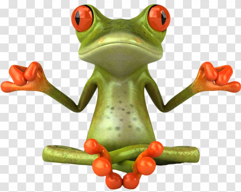 Zen Royalty-free Photography - Amphibian - Frog Transparent PNG