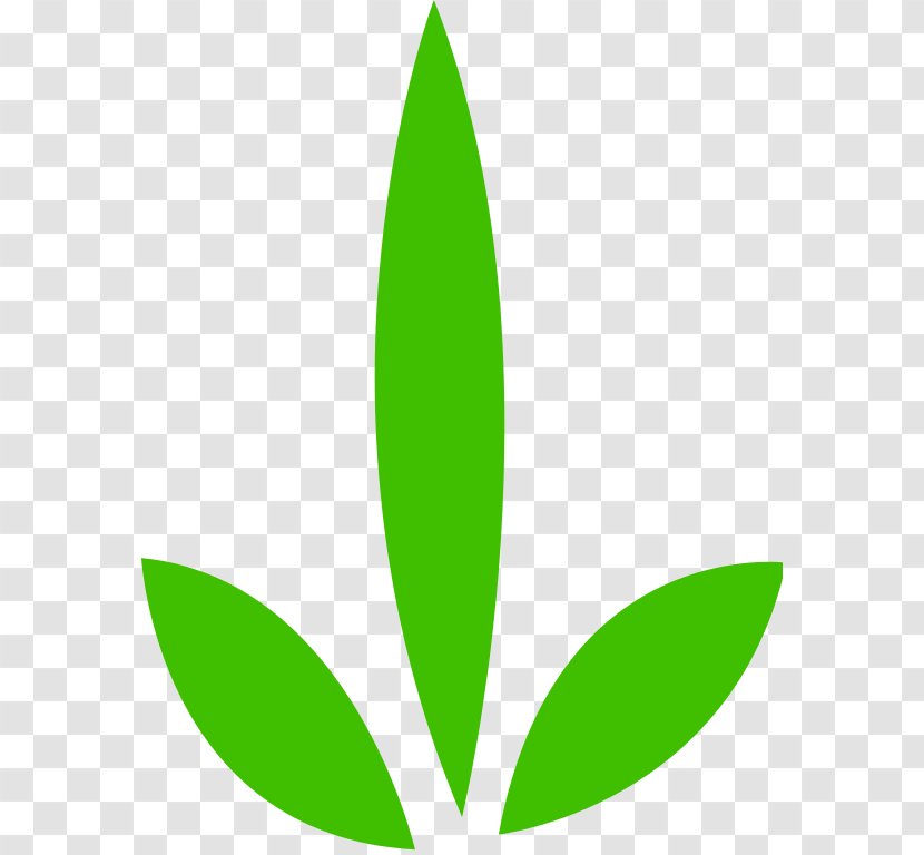 Leaf - Plant Stem - Green Vector Transparent PNG