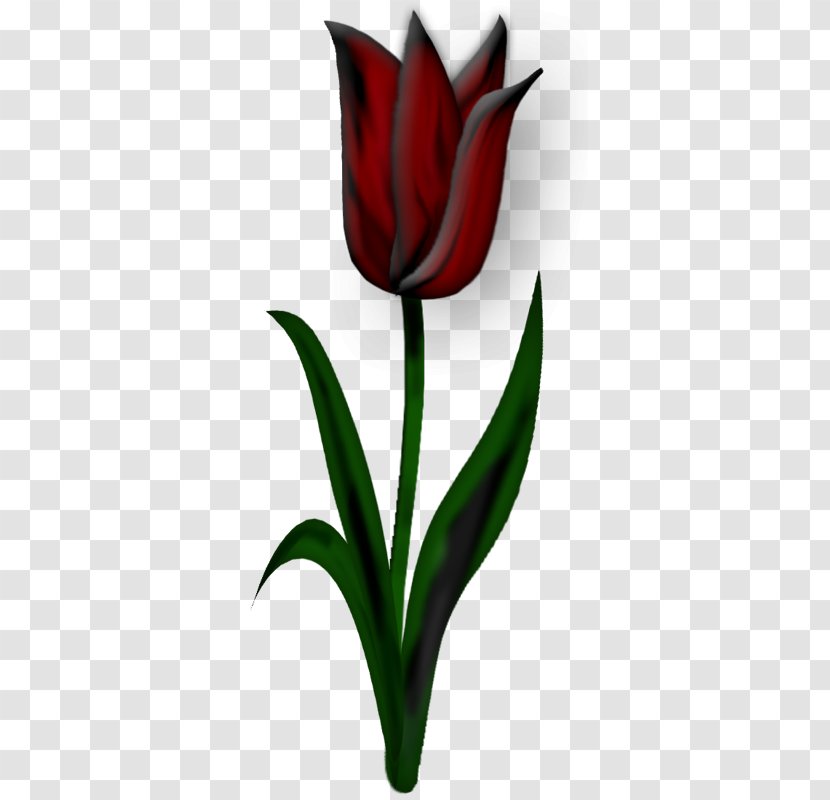 Tulip Flower Clip Art - Leaf - Dark Red Tulips Transparent PNG