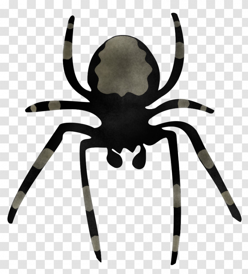 Spider Tarantula Orb-weaver Spider Arachnid Insect Transparent PNG