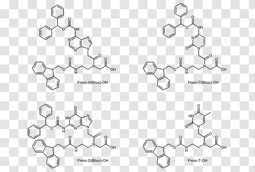 Peptide Nucleic Acid Oligonucleotide Oligomer A-DNA - Properties - Metabolism Transparent PNG