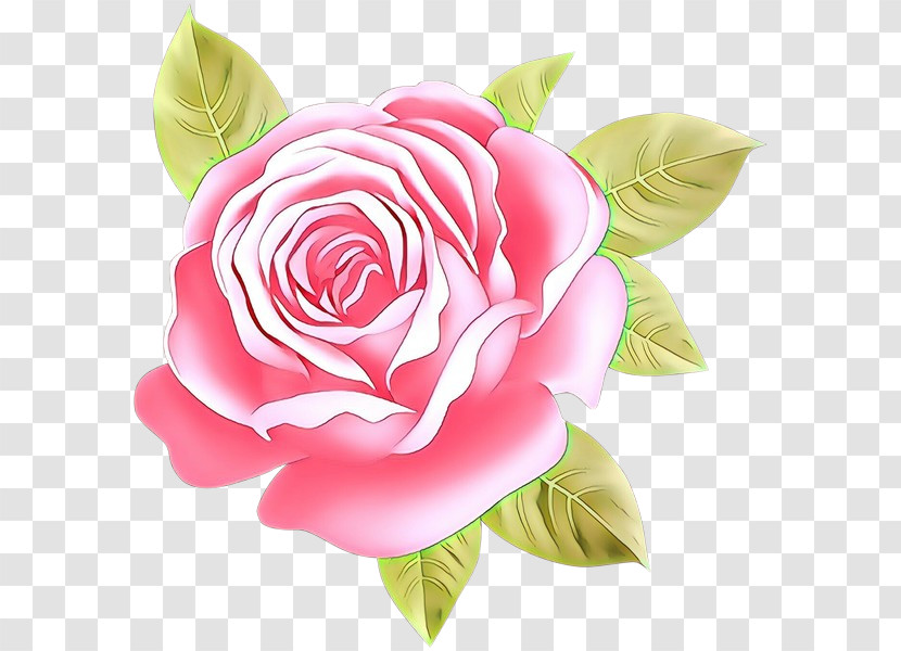 Garden Roses Transparent PNG