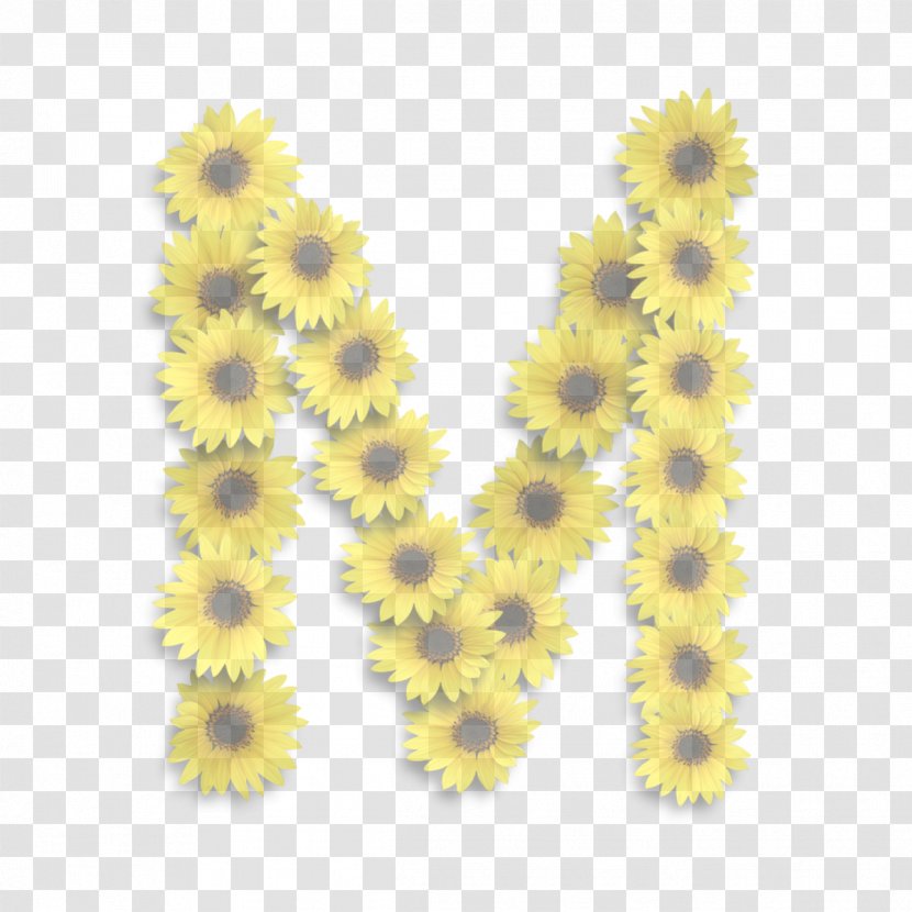 Sunflower - Flower - Daisy Family Gerbera Transparent PNG
