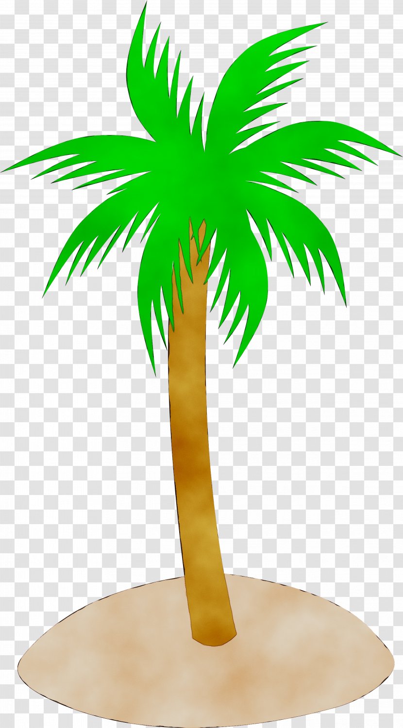 Clip Art Openclipart Palm Trees Image Free Content - Public Domain - Arecales Transparent PNG
