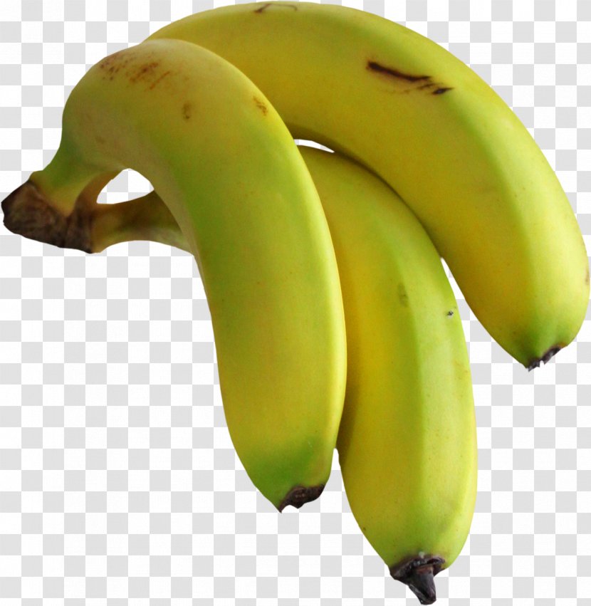 Fruit Cooking Banana Food Vegetable - Saba Transparent PNG