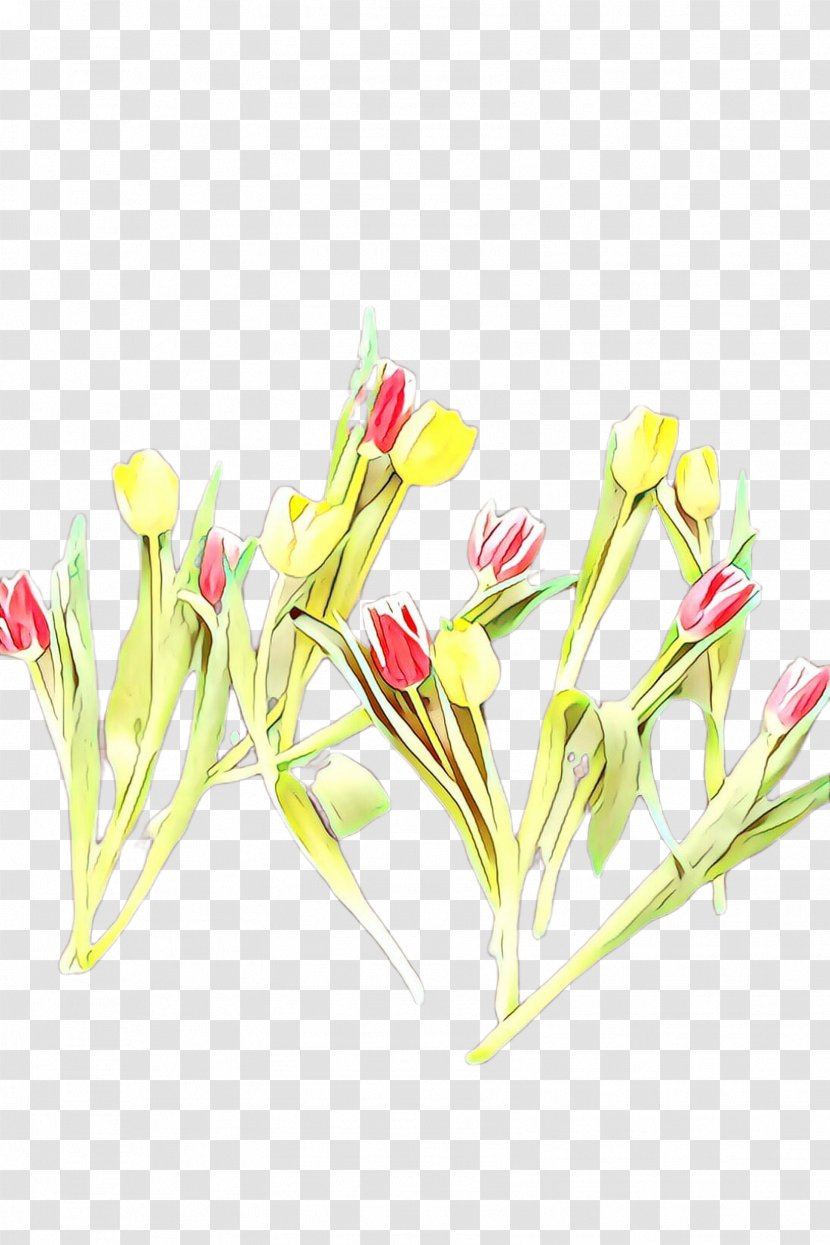 Flowers Background - Artificial Flower - Bud Candy Cane Sorrel Transparent PNG