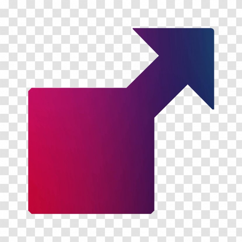 Rectangle Product Design Graphics - Violet - Purple Transparent PNG