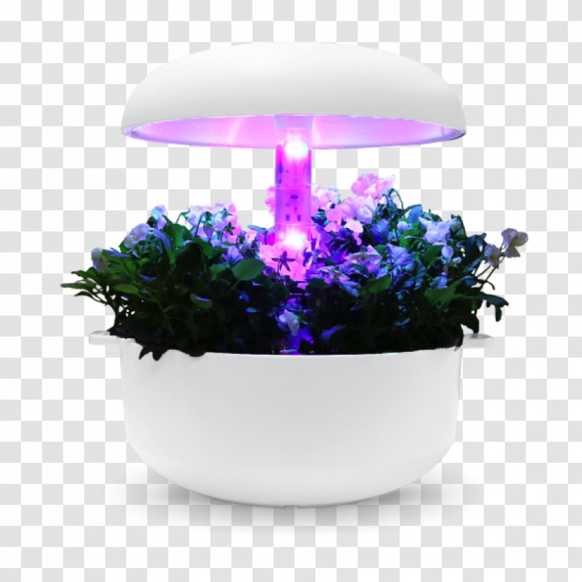 Plant Flowerpot Garden Office Food .de - Cultivo - Chili Block Transparent PNG