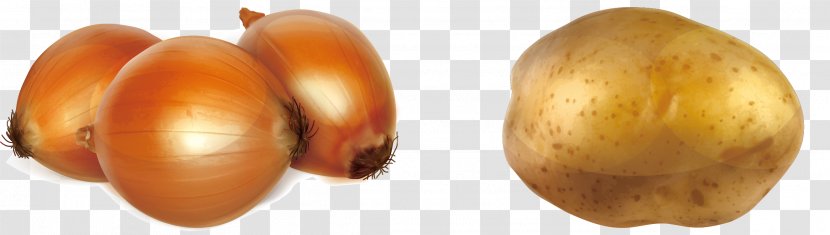 Potato Onion Vegetable - Fruit - Onions And Potatoes Transparent PNG