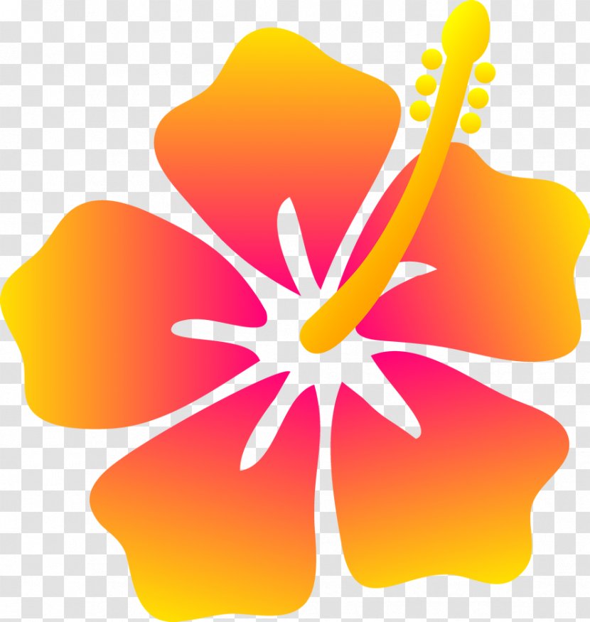 Hawaii Hibiscus Flower Clip Art - Plant - Beach Cliparts Transparent PNG