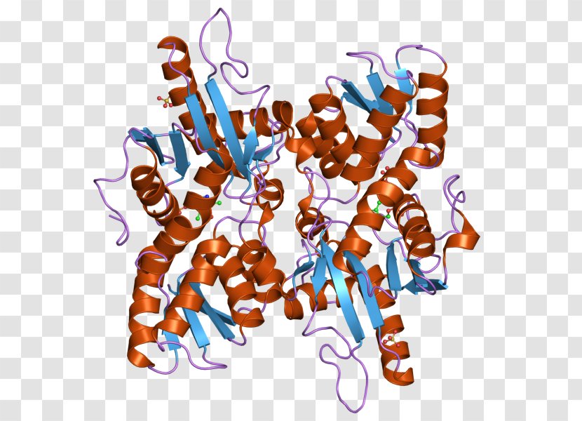 Histidinol Dehydrogenase Prenyltransferase Enzyme Protein Catalysis - Domain - Dwi Soetjipto Transparent PNG
