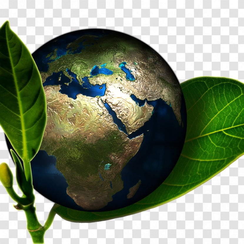Globe Natural Environment Environmentally Friendly Environmental Protection Earth Transparent PNG