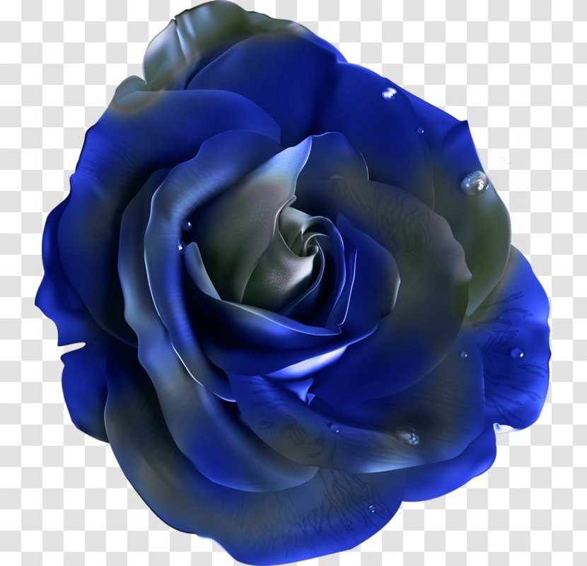 Beach Rose Flower Blue Clip Art - Description - Flower-shaped Buttons Pattern Transparent PNG