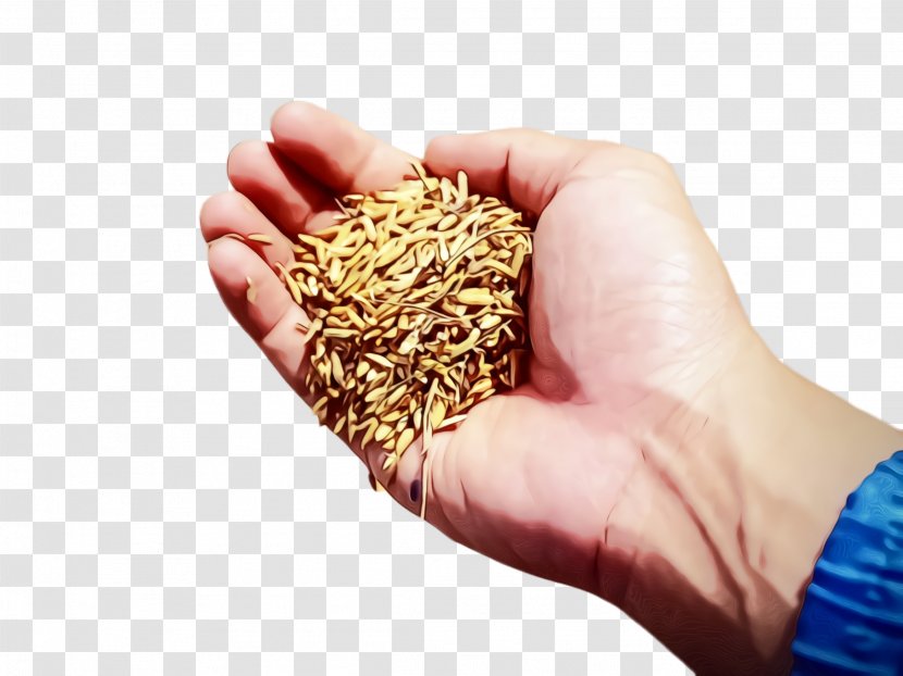 Agriculture Agriculturist Activity Food RESOURCING TO THE COUNTRYSIDE - Plant Hand Transparent PNG
