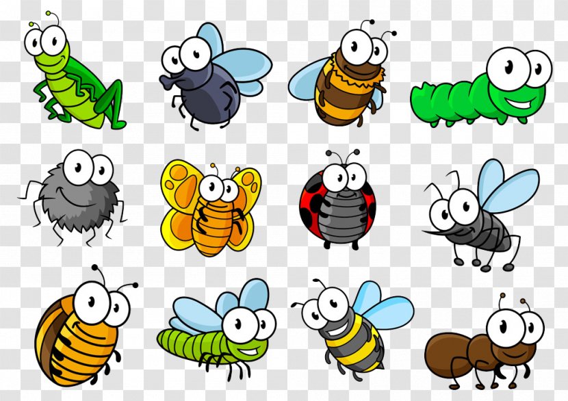 Insect Hornet Cartoon Illustration - Membrane Winged - World Transparent PNG
