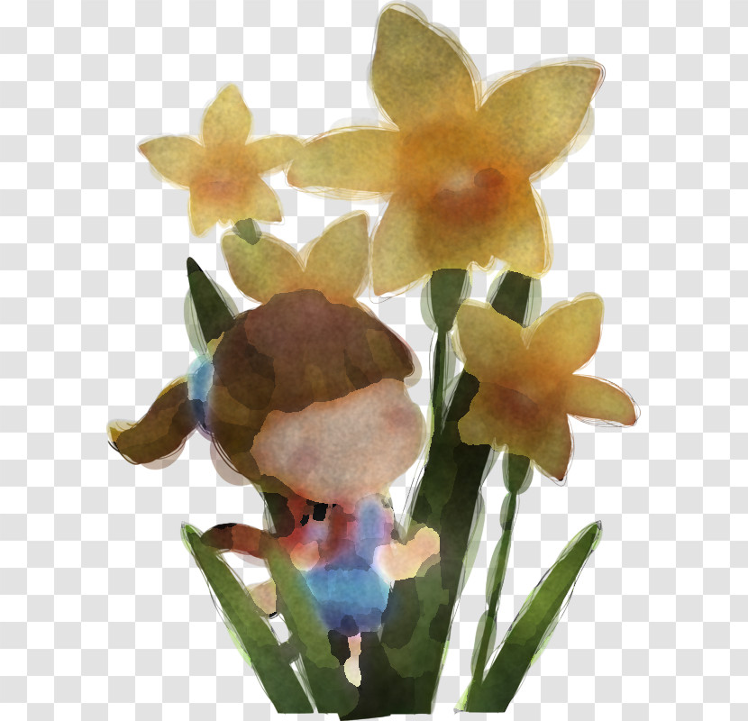 Flower Plant Terrestrial Plant Petal Orchid Transparent PNG