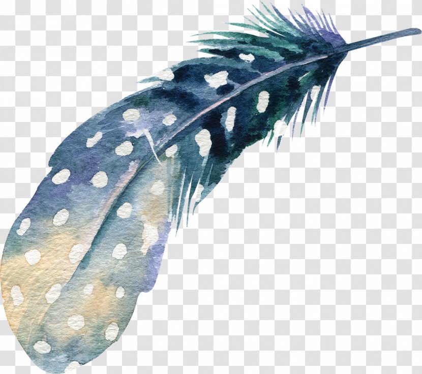 Watercolor Painting Feather Drawing Illustration Transparent PNG