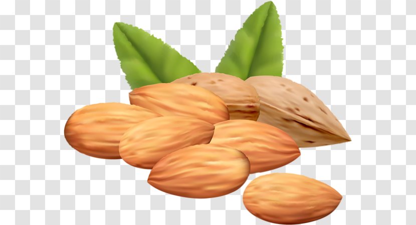 Mixed Nuts Almond Clip Art - Superfood - Fruit Sec Transparent PNG