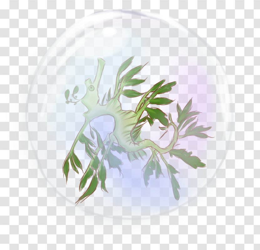 Porcelain - Everlasting Transparent PNG