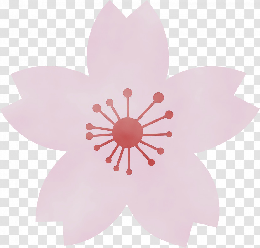 Petal Pink Flower Plant Wildflower Transparent PNG