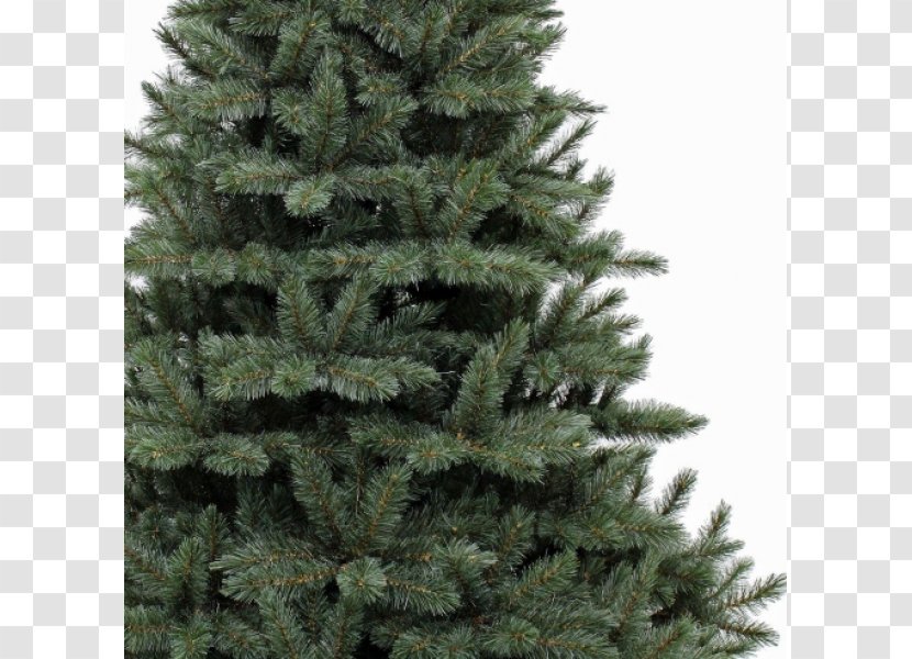 Artificial Christmas Tree Blue - Pine Family Transparent PNG