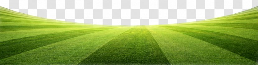 Leaf Green - Grass, Meadows, Taobao Creative, Transparent PNG