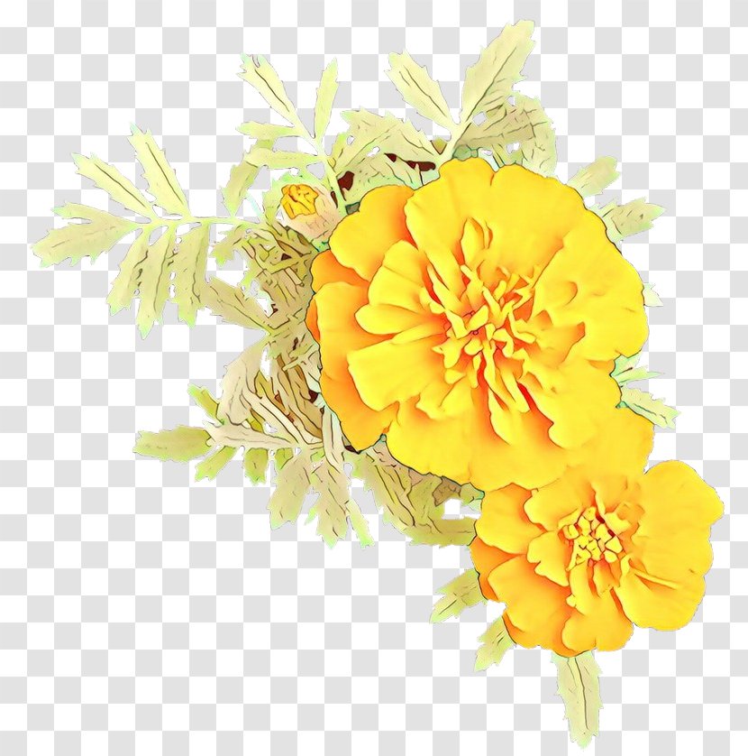 Yellow Flower Tagetes Petal Plant - Flowering Cut Flowers Transparent PNG