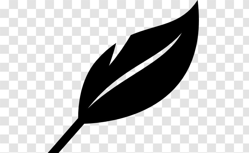 Leaf Shape - Symbol - Black Transparent PNG