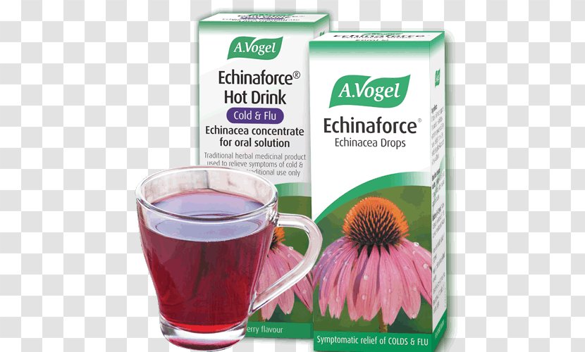 Echinacea Purpurea Echinaforce Common Cold Dietary Supplement Herb - Drop - Herbal Medicine Transparent PNG