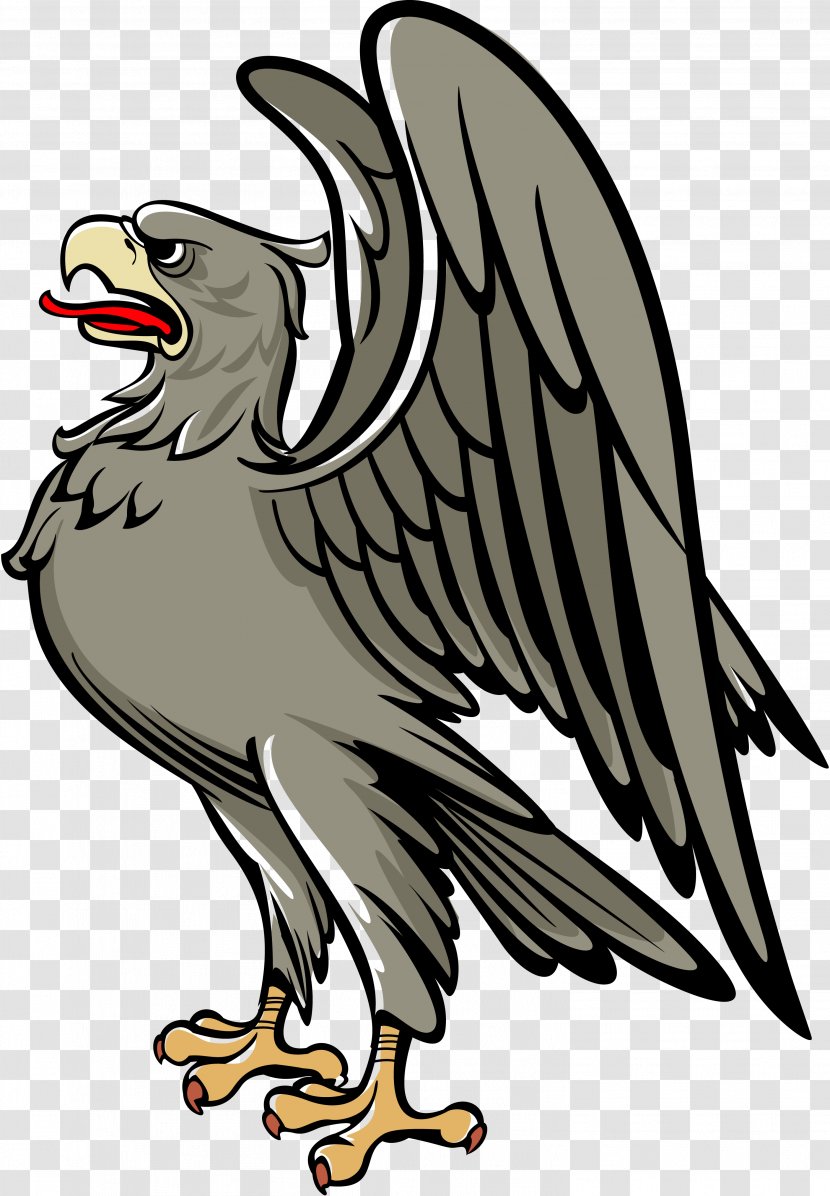 Bird Middle Ages Eagle Coat Of Arms Heraldry Transparent PNG