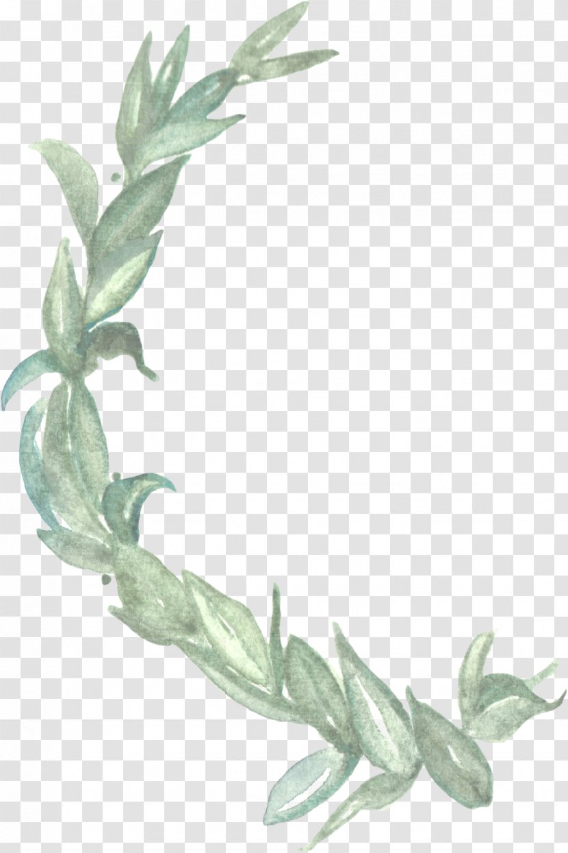 Plant Flower Leaf Flowering Stem Transparent PNG