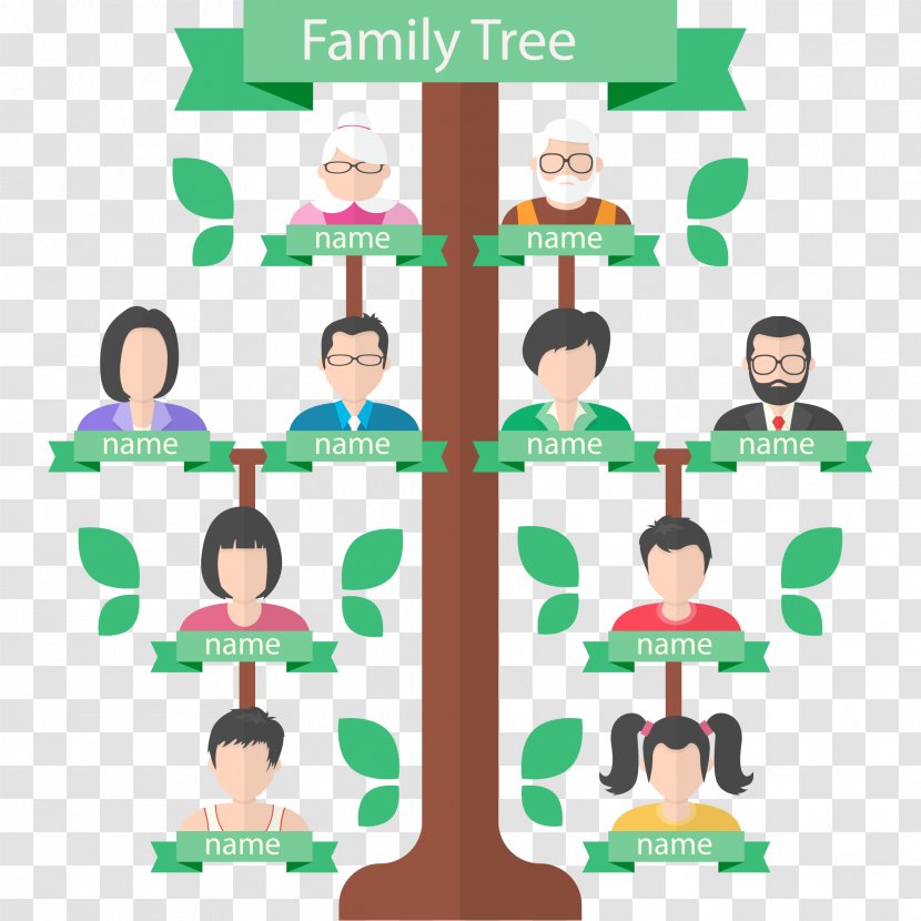 Family Tree Genealogy Generation - Familysearch - Vector Transparent PNG