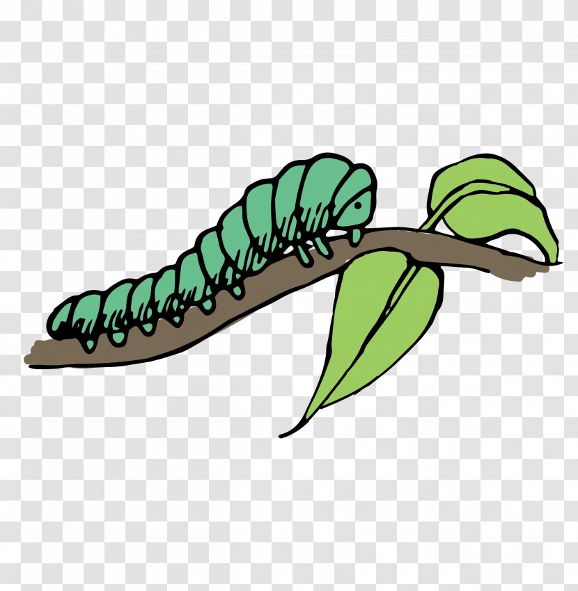 Caterpillar Clip Art - Branch - Lying On The Branches Caterpillars Transparent PNG
