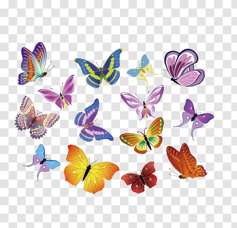 Royalty-free Euclidean Vector Clip Art - Insect - Colorful Butterfly Material Transparent PNG