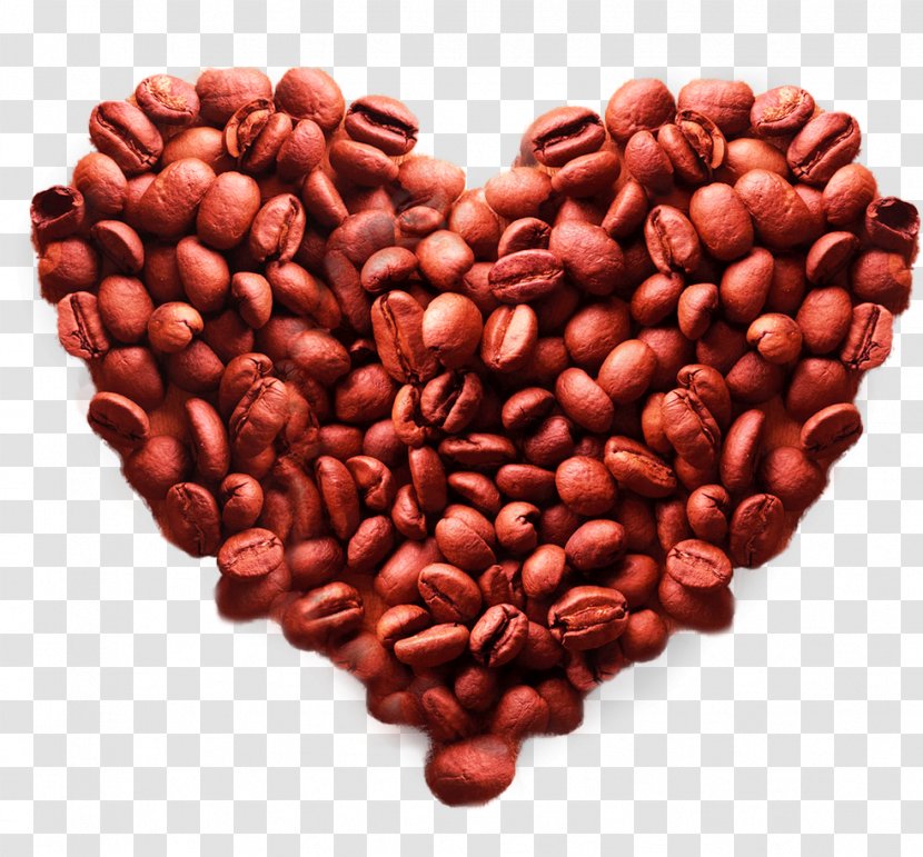 Instant Coffee Tea Cafe - Cocoa Bean - Beans Transparent PNG