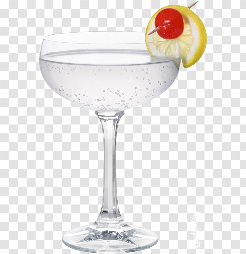 Cocktail Garnish Margarita Martini Champagne Glass - Wine Transparent PNG