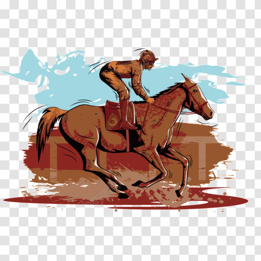 Vector Graphics Illustration Stock Photography Image Royalty-free - Sorrel - Horseback Watercolor Transparent PNG