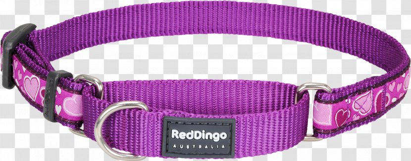 Dog Collar Martingale Pet Tag - Watch Accessory - Red Transparent PNG