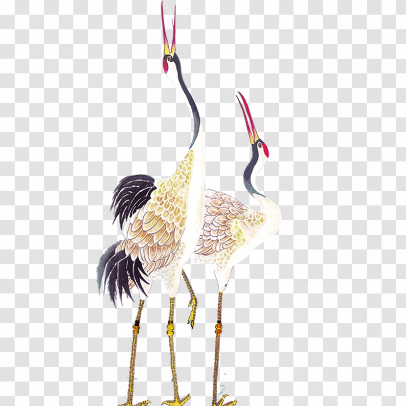 Red-crowned Crane Bird Painting - Drawing Transparent PNG
