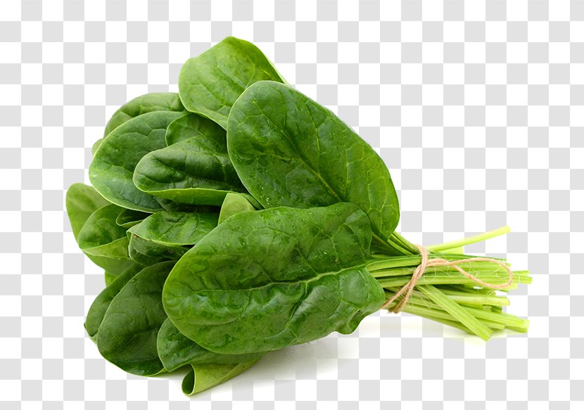 Spinach Leaf Vegetable Food Stock Photography Transparent PNG